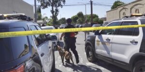 Lady Fatally Run Over During Robbery Attempt at Newport Beach Shopping Mall